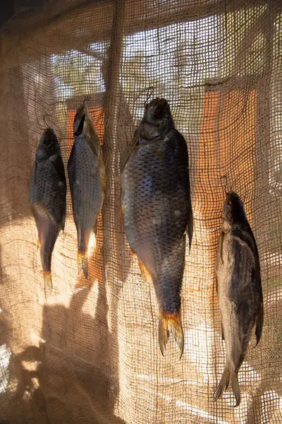 Gün ışığında Çuval bezine karşı İpte Asılı Kurutulmuş Balık