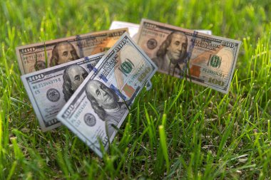 Yeşil Çimenli 100 Dolarlık Faturalar - Finansal Büyüme ve Zenginlik Konsepti