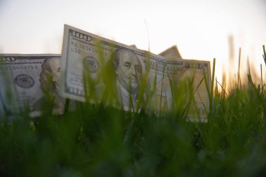 Yeşil Çimenli 100 Dolarlık Faturalar - Finansal Büyüme ve Zenginlik Konsepti
