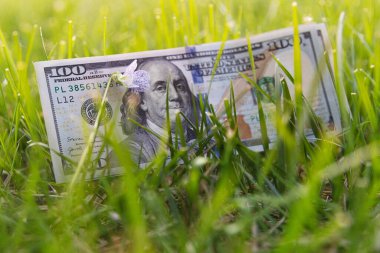 Yeşil Çimenli 100 Dolarlık Faturalar - Finansal Büyüme ve Zenginlik Konsepti