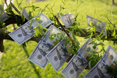 Bir Ağaçta Büyüyen 100 Dolarlık Faturalar Finansal Büyüme ve Zenginlik Konsepti