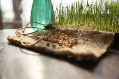 Tohumlar ve Taze Mikroçimler, Organik Çiftçilik Konsepti, Sağlıklı Yeme, Çevre Yaşam Tarzı ve Sürdürülebilir Büyüme