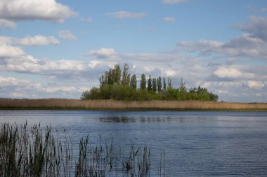 Ukrayna nehir manzarası ada, sazlıklar ve bulutlu gökyüzü