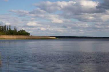 Ukrayna nehir manzarası ada, sazlıklar ve bulutlu gökyüzü