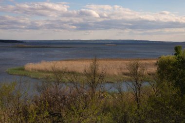Ukrayna nehir manzarası ada, sazlıklar ve bulutlu gökyüzü