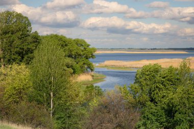 Ukrayna nehir manzarası ada, sazlıklar ve bulutlu gökyüzü