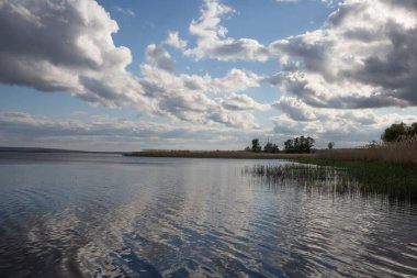 Ukrayna nehir manzarası ada, sazlıklar ve bulutlu gökyüzü