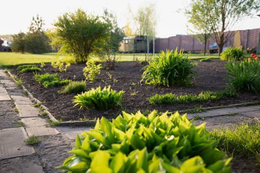 Gün batımında bahçedeki bahçesinde ev sahibi çalıları ve diğer bitkilerle dolu bakımlı bahçe yatakları.
