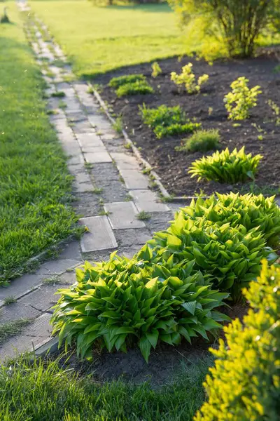 Çiçekli yeşil bitkiler ve taze toprakla dolu bahar bahçesi yolu.