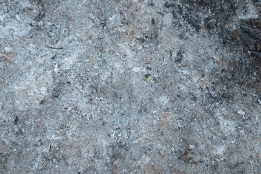 Kül kaplı yer dokusu yanmış toprak ve gri kül yüzeyi.