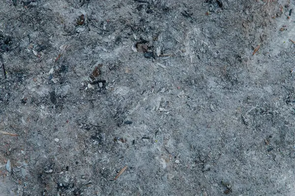 Kül kaplı yer dokusu yanmış toprak ve gri kül yüzeyi.
