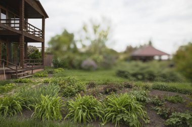 Ağaçlı kır evi ve doğal çevrede yeşil çalılıklar, satılık emlak.