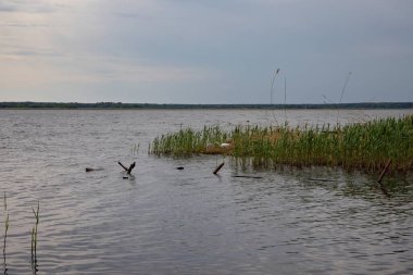 Fırtına, yıkım ve doğal afet kavramı, göldeki kırık ahşap iskele.