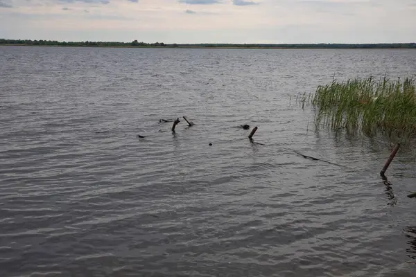 Fırtına, yıkım ve doğal afet kavramı, göldeki kırık ahşap iskele.