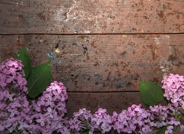 Kırsal ahşap arka planda leylak çiçekleri ve yapraklar, üst manzara