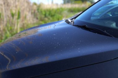 Yıkanmadan önce otobüsün kirli ön camı.