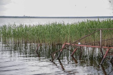 Su yüzeyine düşen yağmur damlaları, dalgalı doku arkaplanı