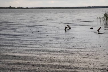 Su yüzeyine düşen yağmur damlaları, dalgalı doku arkaplanı