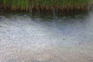 Su yüzeyine düşen yağmur damlaları, dalgalı doku arkaplanı