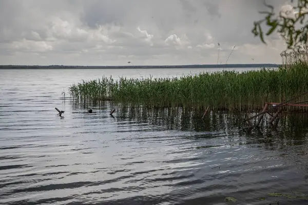 Su yüzeyine düşen yağmur damlaları, dalgalı doku arkaplanı