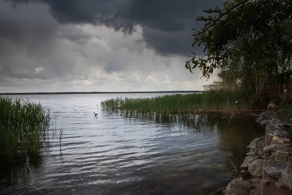 Su yüzeyine düşen yağmur damlaları, dalgalı doku arkaplanı