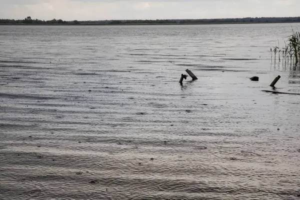 Su yüzeyine düşen yağmur damlaları, dalgalı doku arkaplanı