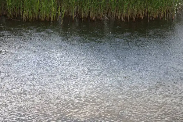 Su yüzeyine düşen yağmur damlaları, dalgalı doku arkaplanı