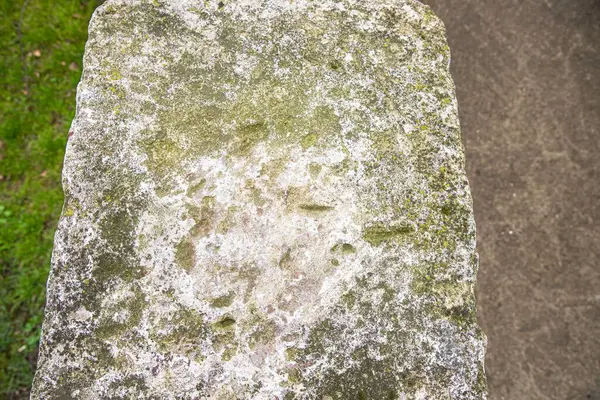 Yosun ve yosunla kaplanmış eski beton blok