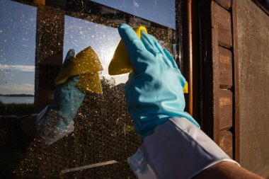 Temizlik servisi konsepti. Eldivenler ve süngerler.