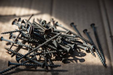 Güneş ışığı, inşaat ve onarım konseptinde karton yüzeyde siyah vidalar yığını