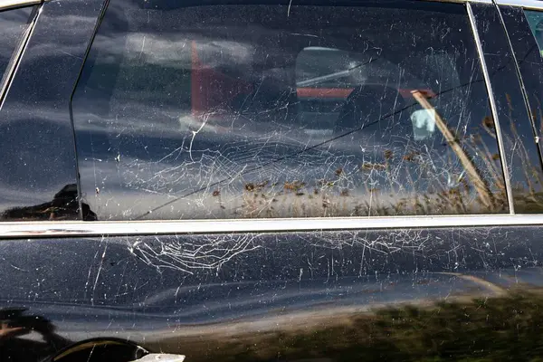 Güneş ışığında örümcek ağı olan kirli bir arabanın ön camı, terk edilmiş araç konsepti.