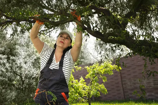 Güçlü bağımsız kadın bahçede çalışıyor ve yeşil atıkları temizliyor.