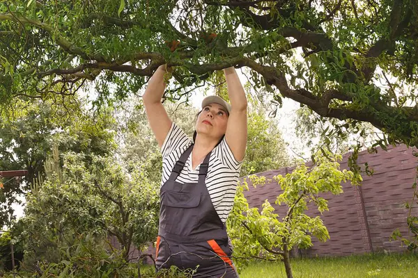 Güçlü bağımsız kadın bahçede çalışıyor ve yeşil atıkları temizliyor.