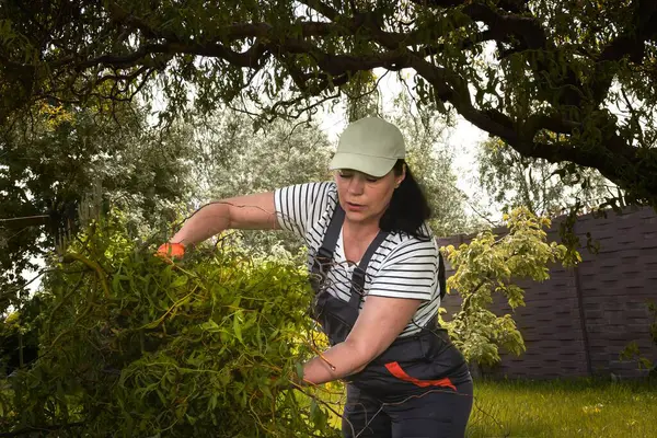 Güçlü bağımsız kadın bahçede çalışıyor ve yeşil atıkları temizliyor.