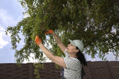 Arka bahçede ağaç dallarını budayan bir kadın.