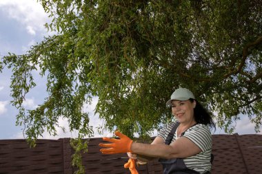 Arka bahçede ağaç dallarını budayan bir kadın.