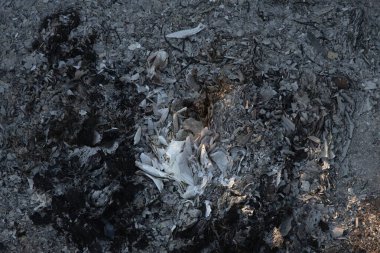 Yanmış küller ve yanmış molozlar. Ardışık dokuyu ateşle