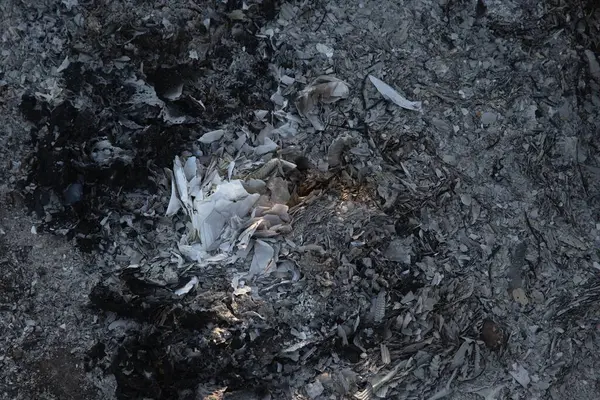 Yanmış küller ve yanmış molozlar. Ardışık dokuyu ateşle