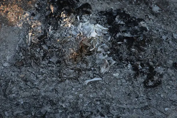 Yanmış küller ve yanmış molozlar. Ardışık dokuyu ateşle