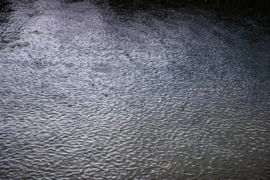 Yağmurlu bir günde dalgalı su yüzeyine düşen yağmur damlaları. Arka plan, hava durumu, sakinlik ve ruh hali temaları için doğal soyut doku.