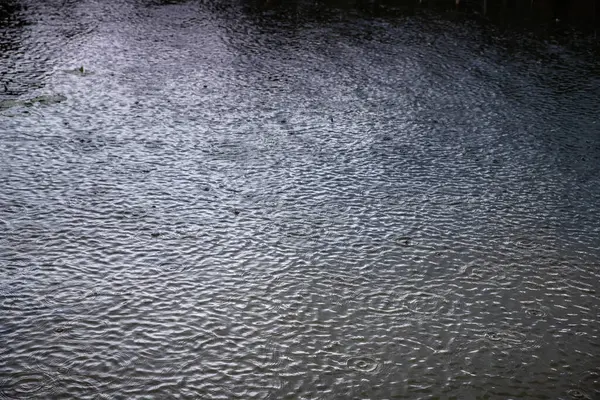 Yağmurlu bir günde dalgalı su yüzeyine düşen yağmur damlaları. Arka plan, hava durumu, sakinlik ve ruh hali temaları için doğal soyut doku.