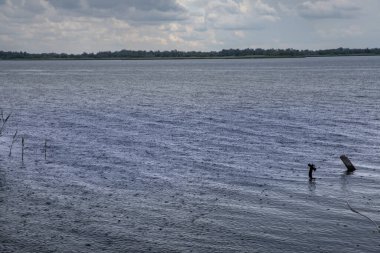 Yağmurun gölün üstüne yağışının detaylı dokusu yumuşak dalgalı daireler ve dengesiz yansımalar oluşturuyor. İklim, doğa, arkaplan ya da soyut kompozisyonlar için harika.
