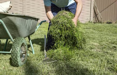 Elle biçilmiş çimenleri tırmık ve el arabasının yanındaki yığının içinde toplayan bir adamın yakın çekimi. Bahçe bakımı, bahçe bakımı ve çevre dostu bahçe bakımı kavramı.