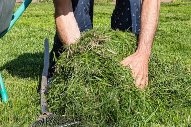 Elle biçilmiş çimenleri tırmık ve el arabasının yanındaki yığının içinde toplayan bir adamın yakın çekimi. Bahçe bakımı, bahçe bakımı ve çevre dostu bahçe bakımı kavramı.