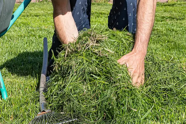 Elle biçilmiş çimenleri tırmık ve el arabasının yanındaki yığının içinde toplayan bir adamın yakın çekimi. Bahçe bakımı, bahçe bakımı ve çevre dostu bahçe bakımı kavramı.