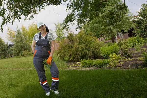 Çizgili gömlekli ve iş tulumlu bir kadın bahçede dikiliyor ve bir elinde kesik dallar tutuyor. Bahçe işleri, açık hava işleri ve mevsimlik bahçe temizliği kavramı.