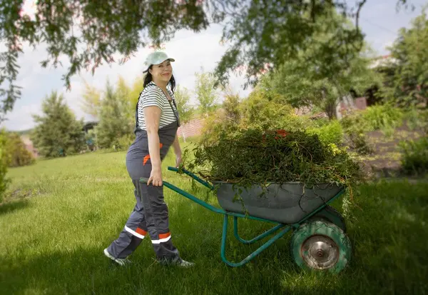 Çizgili tişört ve gri tulumlu gülümseyen kadın bahçıvan yeşil bir arka bahçede budanmış dallar topluyor. Mevsimlik bahçe bakımı, budanma ve sürdürülebilir yaşam kavramı.