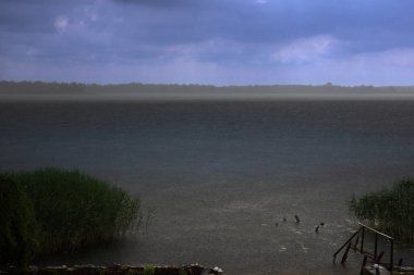 Büyük bir göl üzerinde sağanak yağış, üzerinde kara fırtına bulutları ve ön planda sazlıklar var. Düşük görüş mesafesi ve sisli ufku olan dramatik bir manzara..