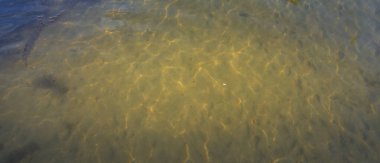 Yüzeysel sularda altın güneş ışığı desenleri olan doğal bir arka plan. Çevre, seyahat veya rahatlama temaları için ideal barışçıl doğa sahnesi.