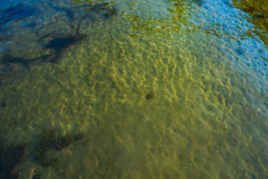 Şeffaf göl suyu, görünen kumlu tabanı ve güneş ışığı dalgaları var. Eko temaları ve rahatlama görselleri için barışçıl doğal arkaplan.